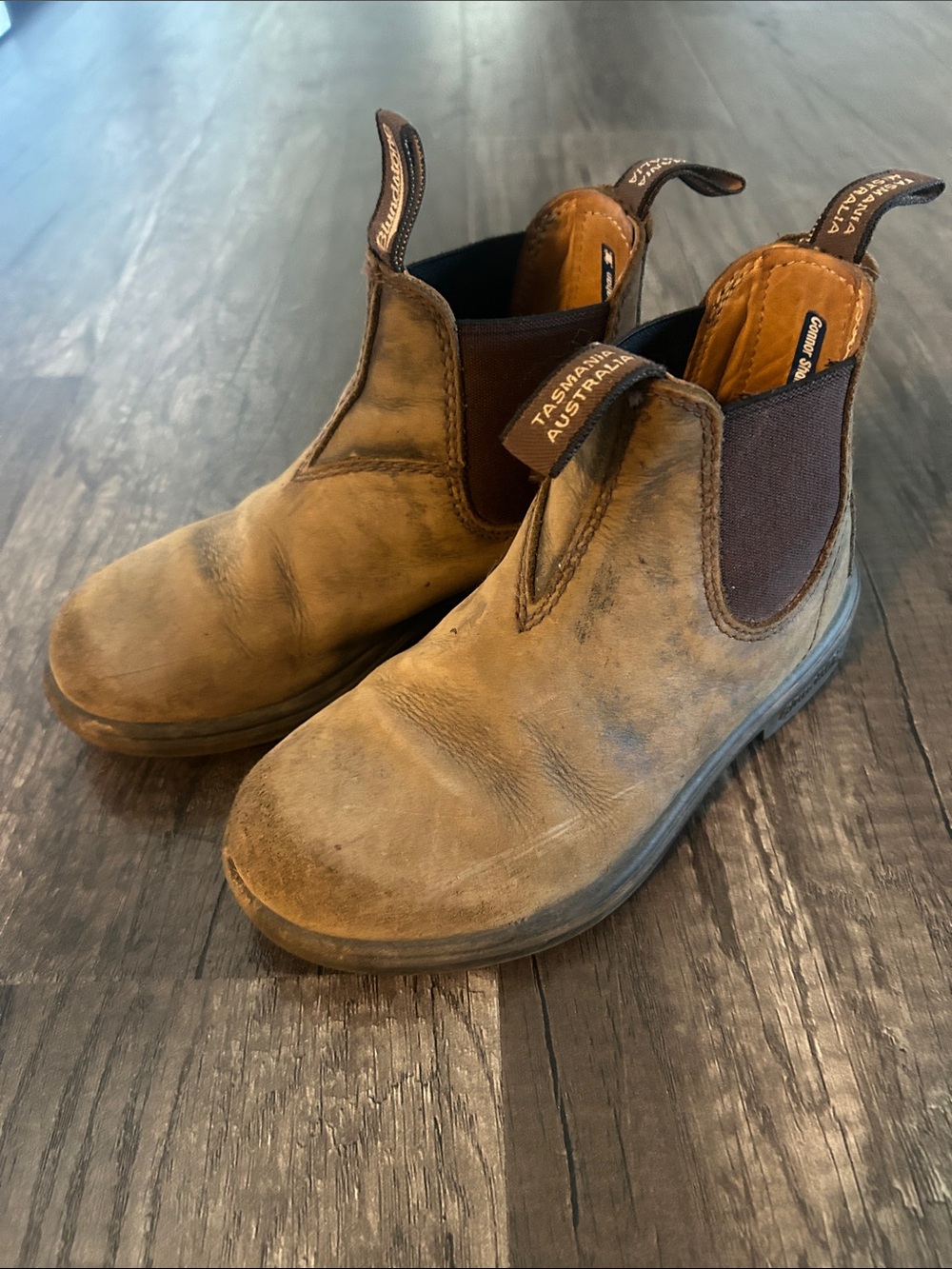 Blundstone Kids Brown Chelsea Boots